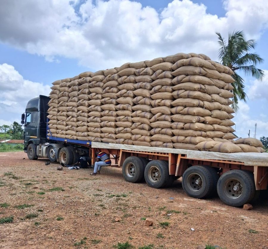 Truck loaded with COCOBOD-certified cocoa sacks, ready for export